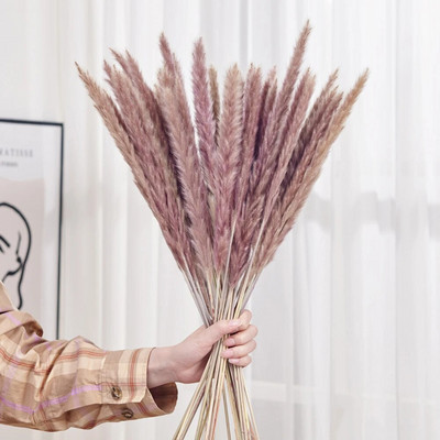 30gab. Žāvēti ziedi Pūkaina Pampas zāle kāzu ballīšu dekorēšanai Zaķa aste niedres Mākslīgie ziedi Mājas dekors
