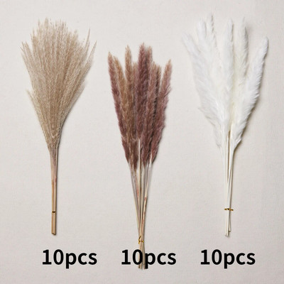 30gab. Žāvēti ziedi Pūkaina Pampas zāle kāzu ballīšu dekorēšanai Zaķa aste niedres Mākslīgie ziedi Mājas dekors