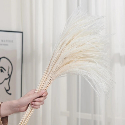 30gab. Žāvēti ziedi Pūkaina Pampas zāle kāzu ballīšu dekorēšanai Zaķa aste niedres Mākslīgie ziedi Mājas dekors
