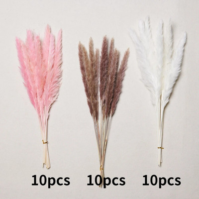 30gab. Žāvēti ziedi Pūkaina Pampas zāle kāzu ballīšu dekorēšanai Zaķa aste niedres Mākslīgie ziedi Mājas dekors
