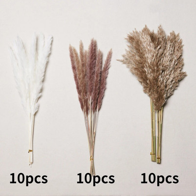 30gab. Žāvēti ziedi Pūkaina Pampas zāle kāzu ballīšu dekorēšanai Zaķa aste niedres Mākslīgie ziedi Mājas dekors