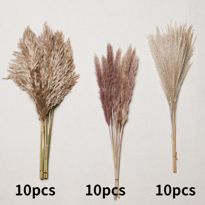 30gab. Žāvēti ziedi Pūkaina Pampas zāle kāzu ballīšu dekorēšanai Zaķa aste niedres Mākslīgie ziedi Mājas dekors