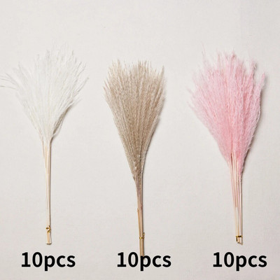 30gab. Žāvēti ziedi Pūkaina Pampas zāle kāzu ballīšu dekorēšanai Zaķa aste niedres Mākslīgie ziedi Mājas dekors