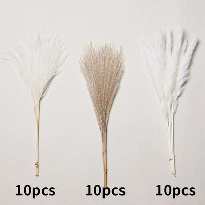 30gab. Žāvēti ziedi Pūkaina Pampas zāle kāzu ballīšu dekorēšanai Zaķa aste niedres Mākslīgie ziedi Mājas dekors