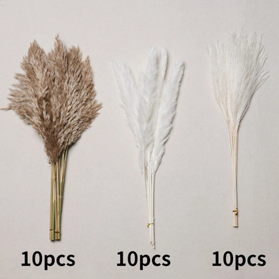 30gab. Žāvēti ziedi Pūkaina Pampas zāle kāzu ballīšu dekorēšanai Zaķa aste niedres Mākslīgie ziedi Mājas dekors