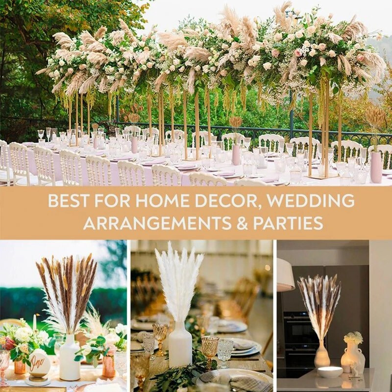 30gab. Žāvēti ziedi Pūkaina Pampas zāle kāzu ballīšu dekorēšanai Zaķa aste niedres Mākslīgie ziedi Mājas dekors