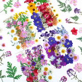 Novo 2023., 1 vrećica suhog cvijeća, prešanog cvijeća, smole za punjenje kalupa, cvjetnog dekora za lice. Paket materijala za rukotvorine od smole.