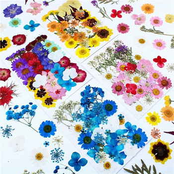 2023 Νέα 1 σακούλα αποξηραμένα λουλούδια Φυτό συμπιεσμένο καλούπι λουλουδιών με ρητίνη πλήρωσης floral ντεκόρ προσώπου DIY Resin Crafts Nail Art Package Material Package