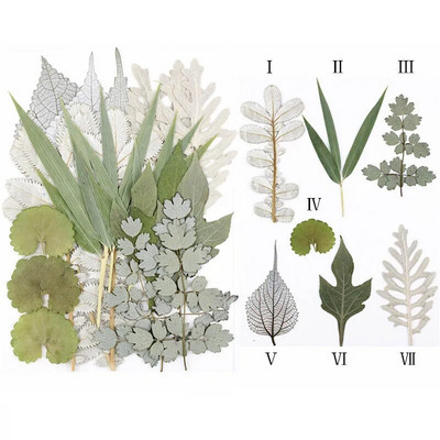 Novo 2023., 1 vrećica suhog cvijeća, prešanog cvijeća, smole za punjenje kalupa, cvjetnog dekora za lice. Paket materijala za rukotvorine od smole.