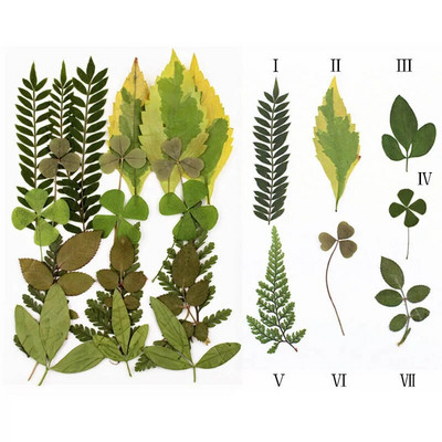 Novo 2023., 1 vrećica suhog cvijeća, prešanog cvijeća, smole za punjenje kalupa, cvjetnog dekora za lice. Paket materijala za rukotvorine od smole.