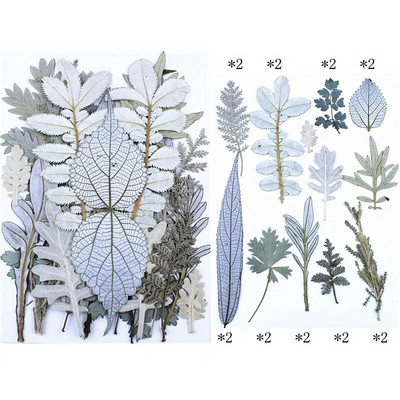 Novo 2023., 1 vrećica suhog cvijeća, prešanog cvijeća, smole za punjenje kalupa, cvjetnog dekora za lice. Paket materijala za rukotvorine od smole.