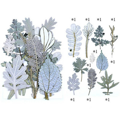 Novo 2023., 1 vrećica suhog cvijeća, prešanog cvijeća, smole za punjenje kalupa, cvjetnog dekora za lice. Paket materijala za rukotvorine od smole.