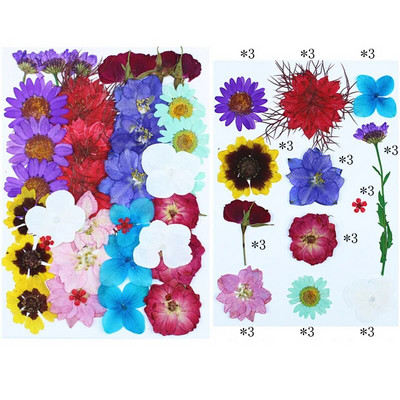 Novo 2023., 1 vrećica suhog cvijeća, prešanog cvijeća, smole za punjenje kalupa, cvjetnog dekora za lice. Paket materijala za rukotvorine od smole.