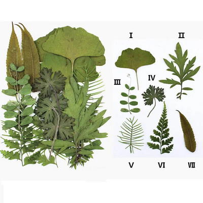 Novo 2023., 1 vrećica suhog cvijeća, prešanog cvijeća, smole za punjenje kalupa, cvjetnog dekora za lice. Paket materijala za rukotvorine od smole.