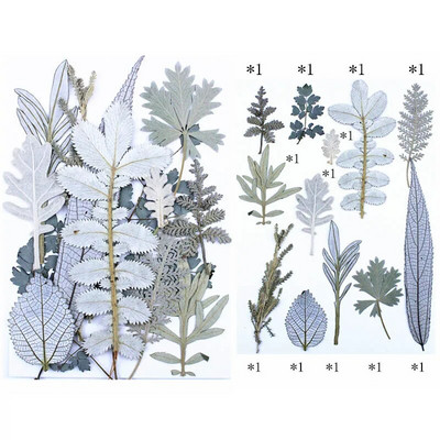 Novo 2023., 1 vrećica suhog cvijeća, prešanog cvijeća, smole za punjenje kalupa, cvjetnog dekora za lice. Paket materijala za rukotvorine od smole.