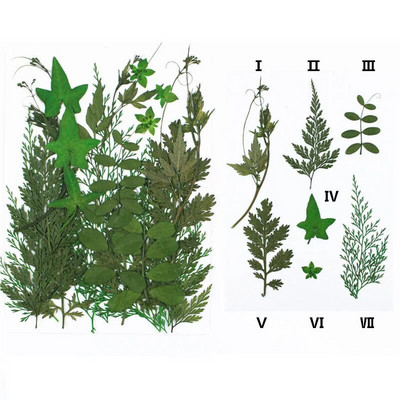 Novo 2023., 1 vrećica suhog cvijeća, prešanog cvijeća, smole za punjenje kalupa, cvjetnog dekora za lice. Paket materijala za rukotvorine od smole.