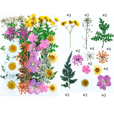 Novo 2023., 1 vrećica suhog cvijeća, prešanog cvijeća, smole za punjenje kalupa, cvjetnog dekora za lice. Paket materijala za rukotvorine od smole.