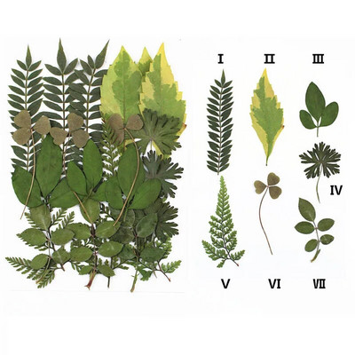 Novo 2023., 1 vrećica suhog cvijeća, prešanog cvijeća, smole za punjenje kalupa, cvjetnog dekora za lice. Paket materijala za rukotvorine od smole.