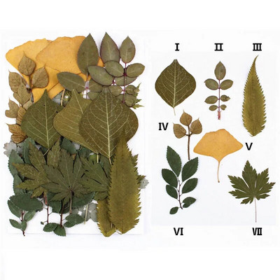 Novo 2023., 1 vrećica suhog cvijeća, prešanog cvijeća, smole za punjenje kalupa, cvjetnog dekora za lice. Paket materijala za rukotvorine od smole.