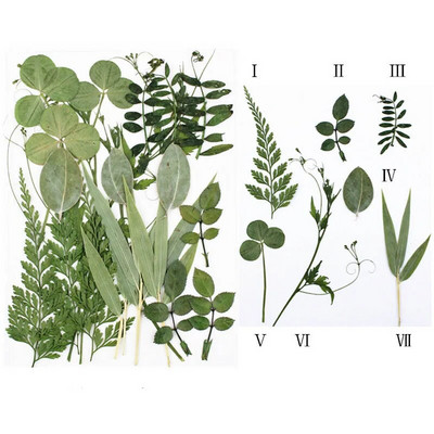 Novo 2023., 1 vrećica suhog cvijeća, prešanog cvijeća, smole za punjenje kalupa, cvjetnog dekora za lice. Paket materijala za rukotvorine od smole.