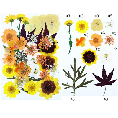 Novo 2023., 1 vrećica suhog cvijeća, prešanog cvijeća, smole za punjenje kalupa, cvjetnog dekora za lice. Paket materijala za rukotvorine od smole.