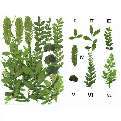 Novo 2023., 1 vrećica suhog cvijeća, prešanog cvijeća, smole za punjenje kalupa, cvjetnog dekora za lice. Paket materijala za rukotvorine od smole.