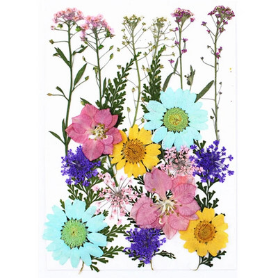 Novo 2023., 1 vrećica suhog cvijeća, prešanog cvijeća, smole za punjenje kalupa, cvjetnog dekora za lice. Paket materijala za rukotvorine od smole.