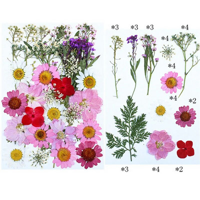 Novo 2023., 1 vrećica suhog cvijeća, prešanog cvijeća, smole za punjenje kalupa, cvjetnog dekora za lice. Paket materijala za rukotvorine od smole.