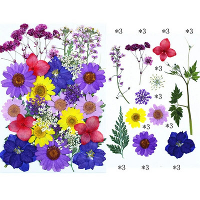 Novo 2023., 1 vrećica suhog cvijeća, prešanog cvijeća, smole za punjenje kalupa, cvjetnog dekora za lice. Paket materijala za rukotvorine od smole.