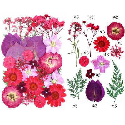 Novo 2023., 1 vrećica suhog cvijeća, prešanog cvijeća, smole za punjenje kalupa, cvjetnog dekora za lice. Paket materijala za rukotvorine od smole.