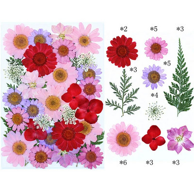 Novo 2023., 1 vrećica suhog cvijeća, prešanog cvijeća, smole za punjenje kalupa, cvjetnog dekora za lice. Paket materijala za rukotvorine od smole.