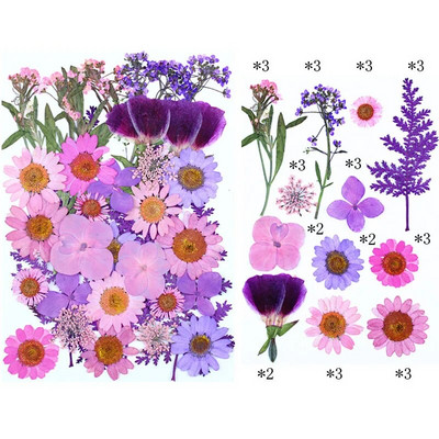 Novo 2023., 1 vrećica suhog cvijeća, prešanog cvijeća, smole za punjenje kalupa, cvjetnog dekora za lice. Paket materijala za rukotvorine od smole.