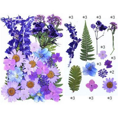 Novo 2023., 1 vrećica suhog cvijeća, prešanog cvijeća, smole za punjenje kalupa, cvjetnog dekora za lice. Paket materijala za rukotvorine od smole.
