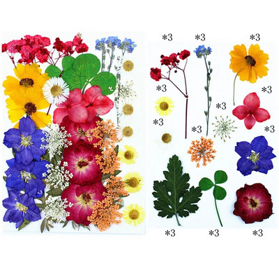 Novo 2023., 1 vrećica suhog cvijeća, prešanog cvijeća, smole za punjenje kalupa, cvjetnog dekora za lice. Paket materijala za rukotvorine od smole.