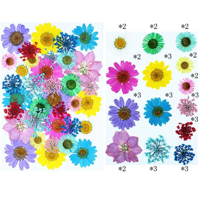 Novo 2023., 1 vrećica suhog cvijeća, prešanog cvijeća, smole za punjenje kalupa, cvjetnog dekora za lice. Paket materijala za rukotvorine od smole.