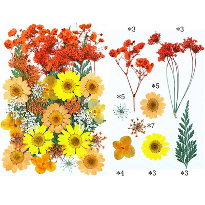 Novo 2023., 1 vrećica suhog cvijeća, prešanog cvijeća, smole za punjenje kalupa, cvjetnog dekora za lice. Paket materijala za rukotvorine od smole.