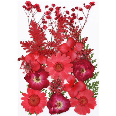 Novo 2023., 1 vrećica suhog cvijeća, prešanog cvijeća, smole za punjenje kalupa, cvjetnog dekora za lice. Paket materijala za rukotvorine od smole.