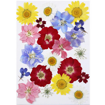 Novo 2023., 1 vrećica suhog cvijeća, prešanog cvijeća, smole za punjenje kalupa, cvjetnog dekora za lice. Paket materijala za rukotvorine od smole.