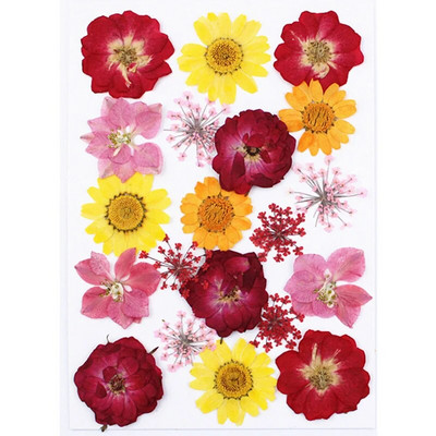 Novo 2023., 1 vrećica suhog cvijeća, prešanog cvijeća, smole za punjenje kalupa, cvjetnog dekora za lice. Paket materijala za rukotvorine od smole.