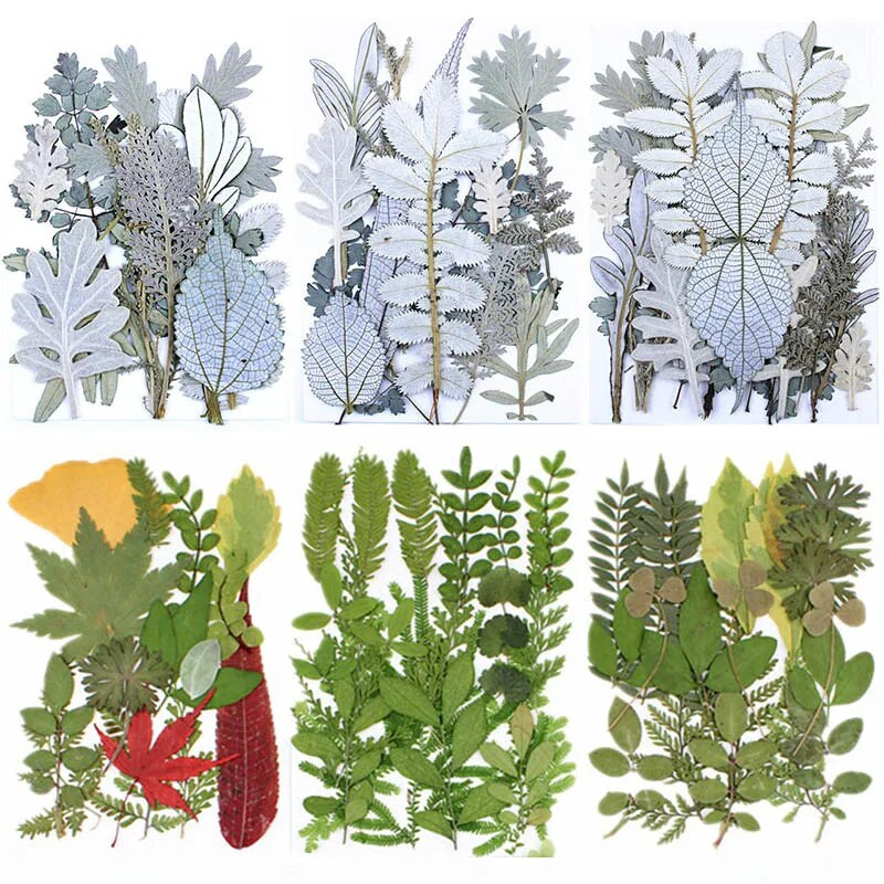 Novo 2023., 1 vrećica suhog cvijeća, prešanog cvijeća, smole za punjenje kalupa, cvjetnog dekora za lice. Paket materijala za rukotvorine od smole.