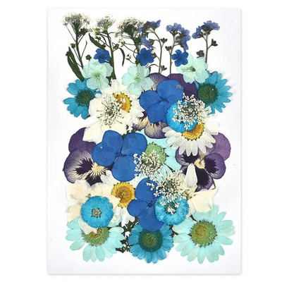 1 pakiranje osušenog cvijeća od UV smole, cvjetnih naljepnica, suhe ljepotice za ukrase za nakit za punjenje epoksi smolom 2020 Novo