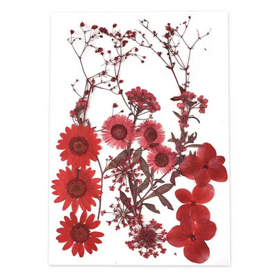 1 pakiranje osušenog cvijeća od UV smole, cvjetnih naljepnica, suhe ljepotice za ukrase za nakit za punjenje epoksi smolom 2020 Novo