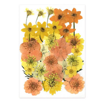 1 pakiranje osušenog cvijeća od UV smole, cvjetnih naljepnica, suhe ljepotice za ukrase za nakit za punjenje epoksi smolom 2020 Novo