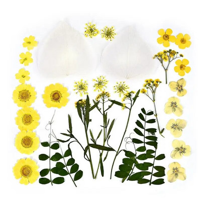 1 pakiranje osušenog cvijeća od UV smole, cvjetnih naljepnica, suhe ljepotice za ukrase za nakit za punjenje epoksi smolom 2020 Novo