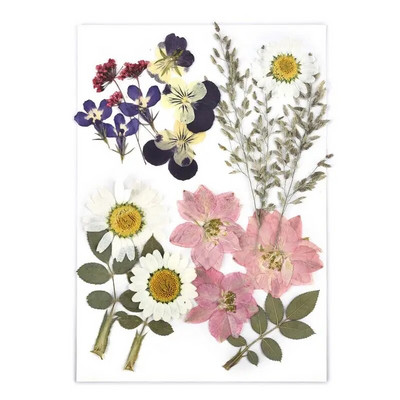 1 pakiranje osušenog cvijeća od UV smole, cvjetnih naljepnica, suhe ljepotice za ukrase za nakit za punjenje epoksi smolom 2020 Novo