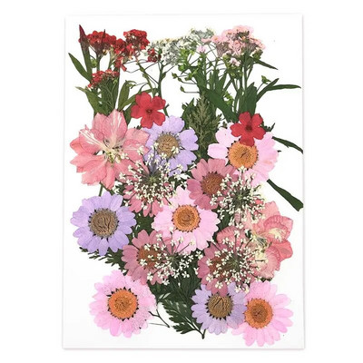 1 pakiranje osušenog cvijeća od UV smole, cvjetnih naljepnica, suhe ljepotice za ukrase za nakit za punjenje epoksi smolom 2020 Novo