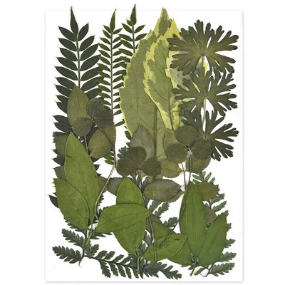 1 pakiranje osušenog cvijeća od UV smole, cvjetnih naljepnica, suhe ljepotice za ukrase za nakit za punjenje epoksi smolom 2020 Novo