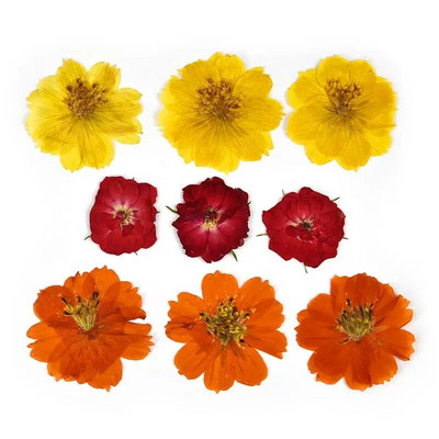 1 pakiranje osušenog cvijeća od UV smole, cvjetnih naljepnica, suhe ljepotice za ukrase za nakit za punjenje epoksi smolom 2020 Novo