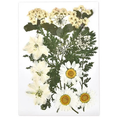 1 pakiranje osušenog cvijeća od UV smole, cvjetnih naljepnica, suhe ljepotice za ukrase za nakit za punjenje epoksi smolom 2020 Novo