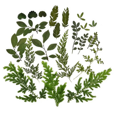 1 pakiranje osušenog cvijeća od UV smole, cvjetnih naljepnica, suhe ljepotice za ukrase za nakit za punjenje epoksi smolom 2020 Novo